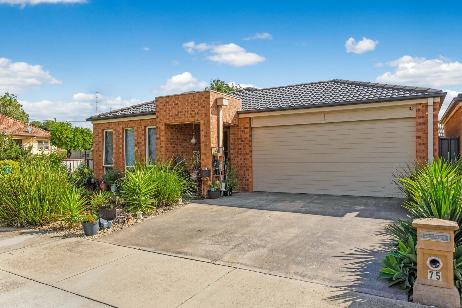 75 Dundas Street, White Hills VIC 3550, Image 0