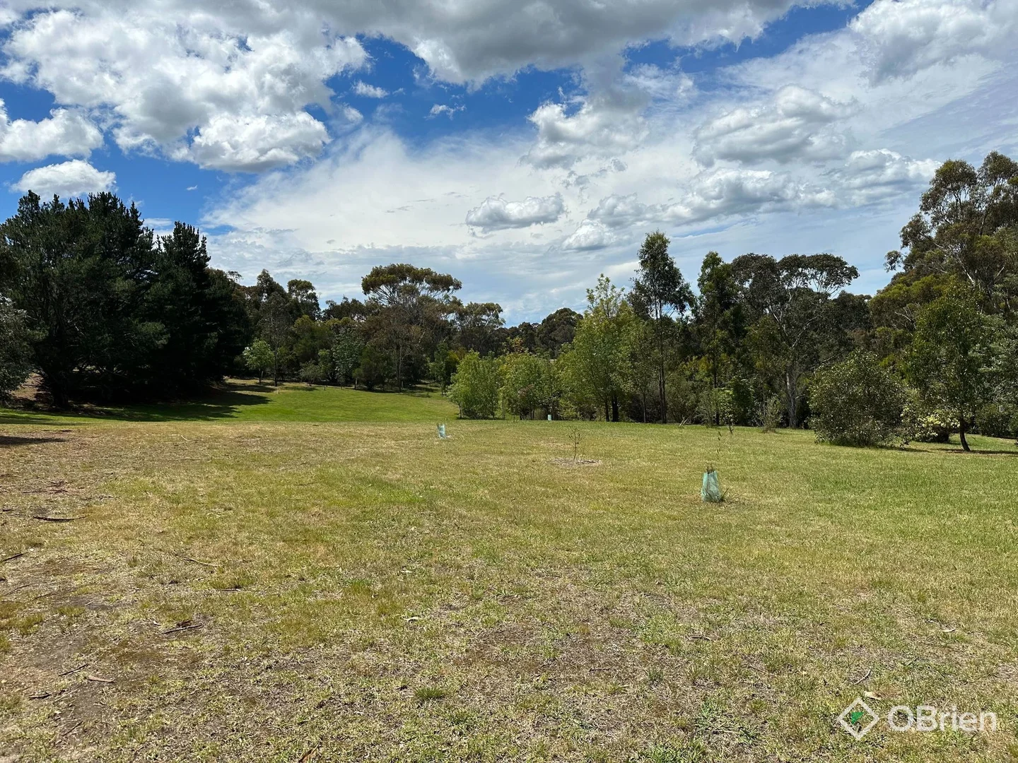 Image 25