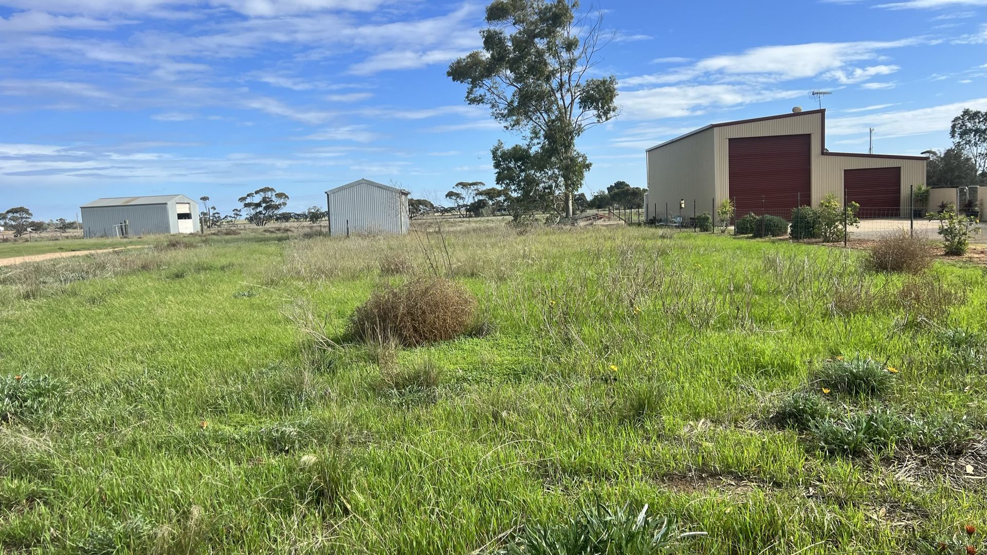 13 McIntosh Avenue, Pinnaroo SA 5304 Domain