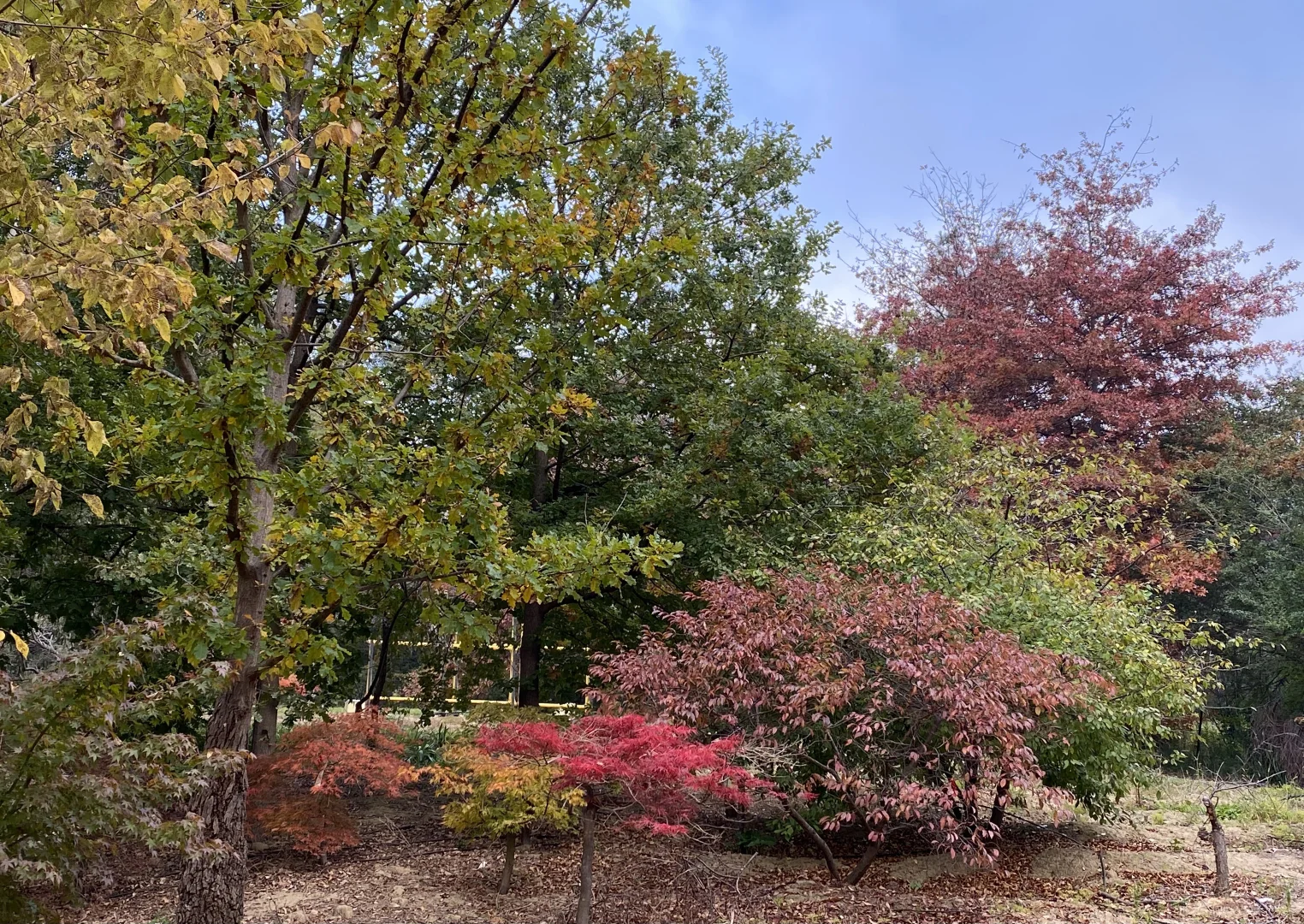 Additional image 9 of 41 Oxleys Hill Road, Bowral NSW 2576