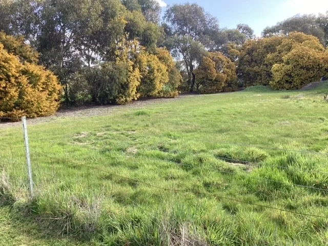 Image 34