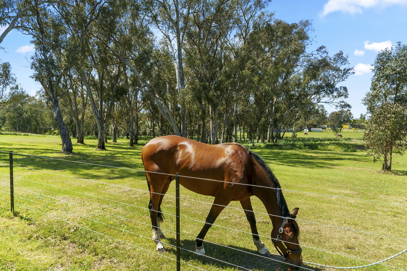 120B Malcolm Street, Mansfield VIC 3722, Image 1