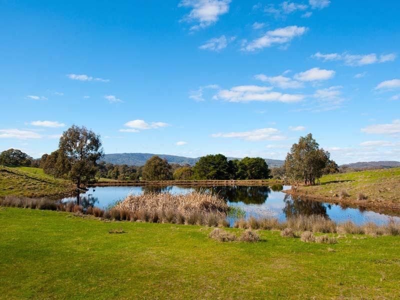 105 Whitegum Road, Barkers Creek VIC 3451, Image 0