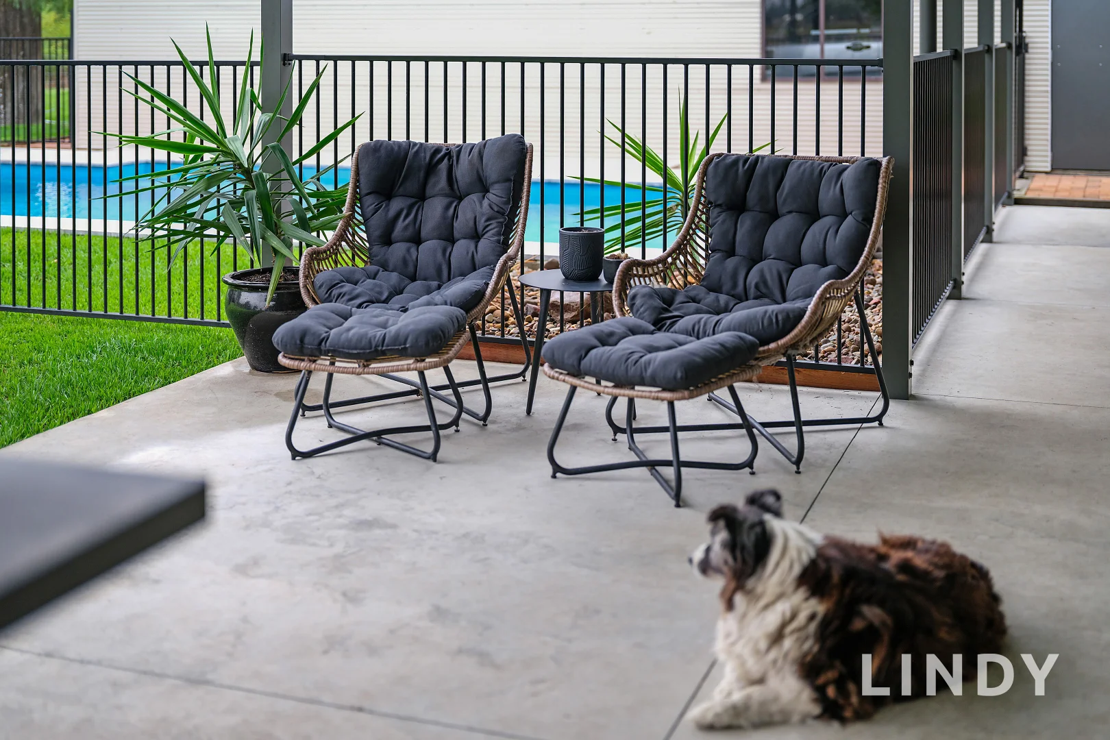 Additional image 10 of 259 Mitchells Flat Road, Singleton NSW 2330