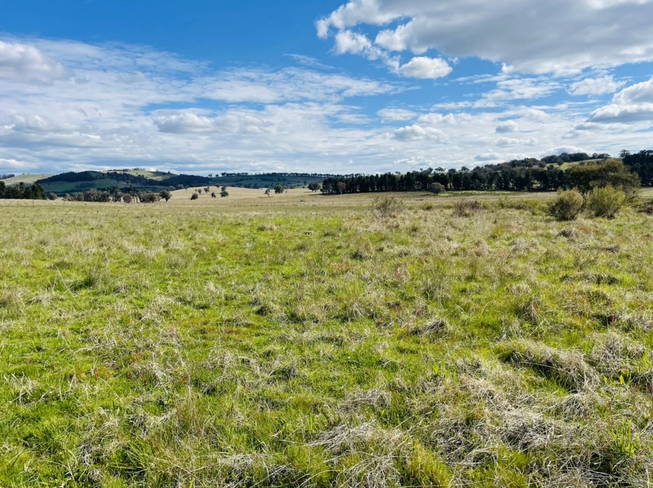 850 Table Top Road, Walcha NSW 2354 House for Sale 1,350,000