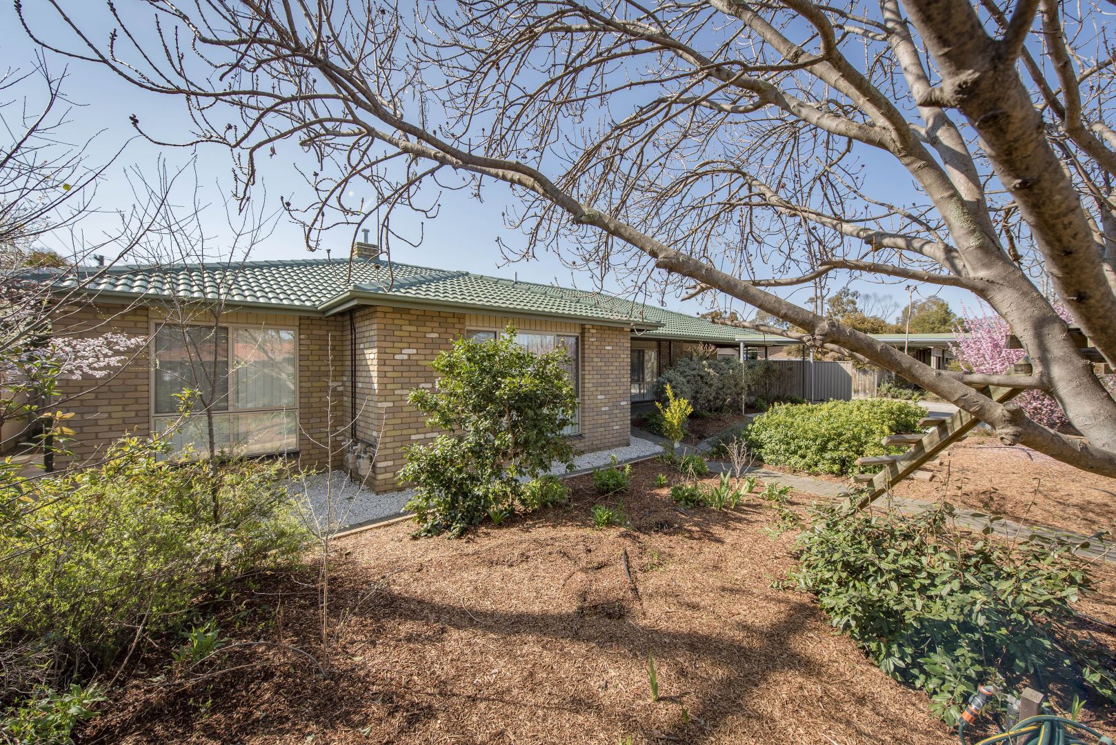 19 Forwood Street, Monash ACT 2904, Image 1