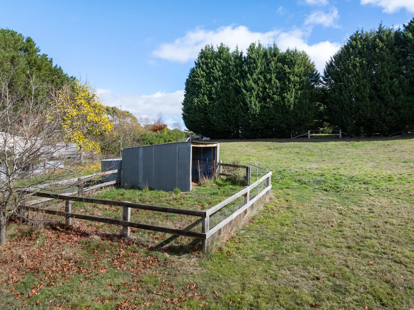 Image 28