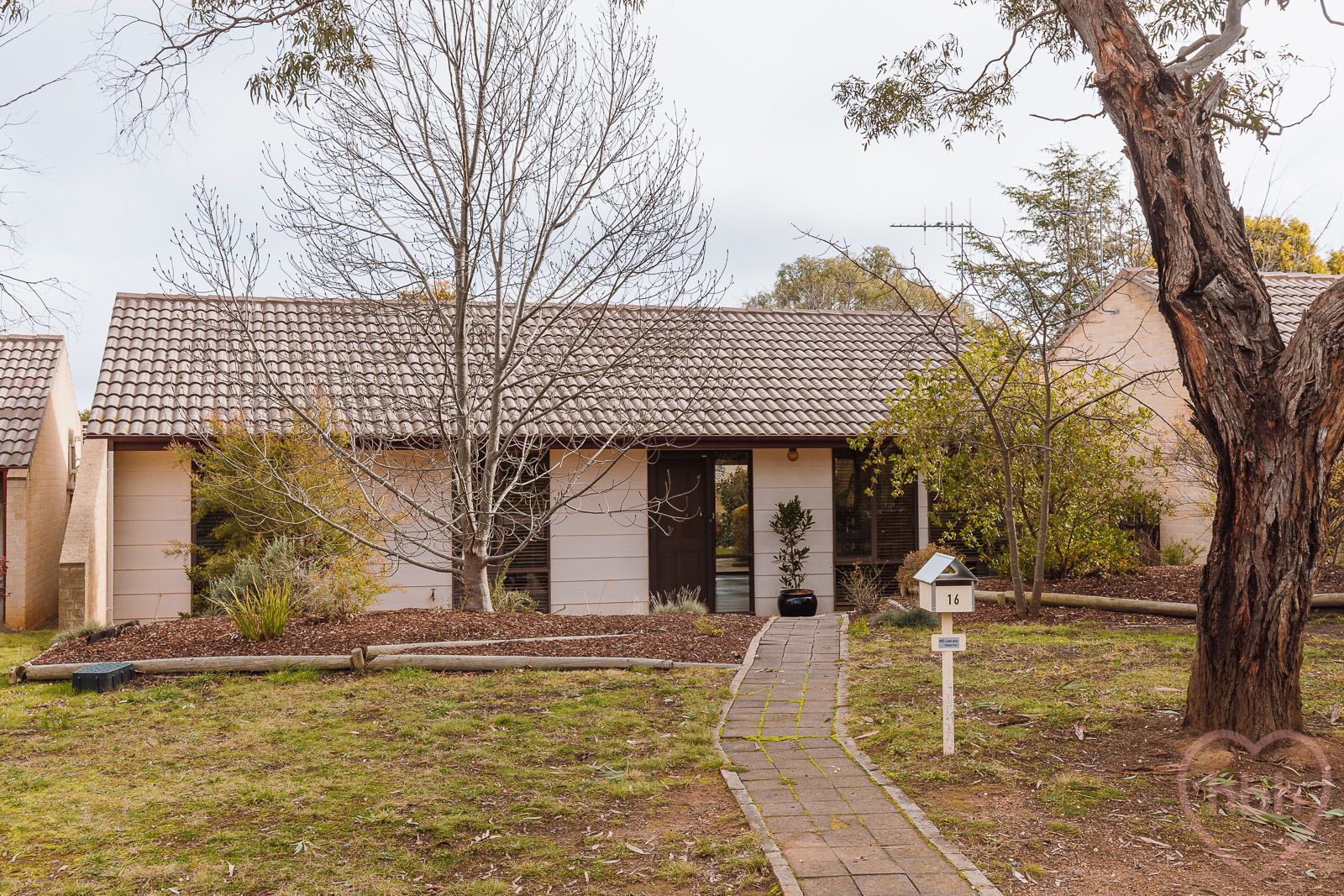 16 Levine Street, Evatt ACT 2617, Image 1