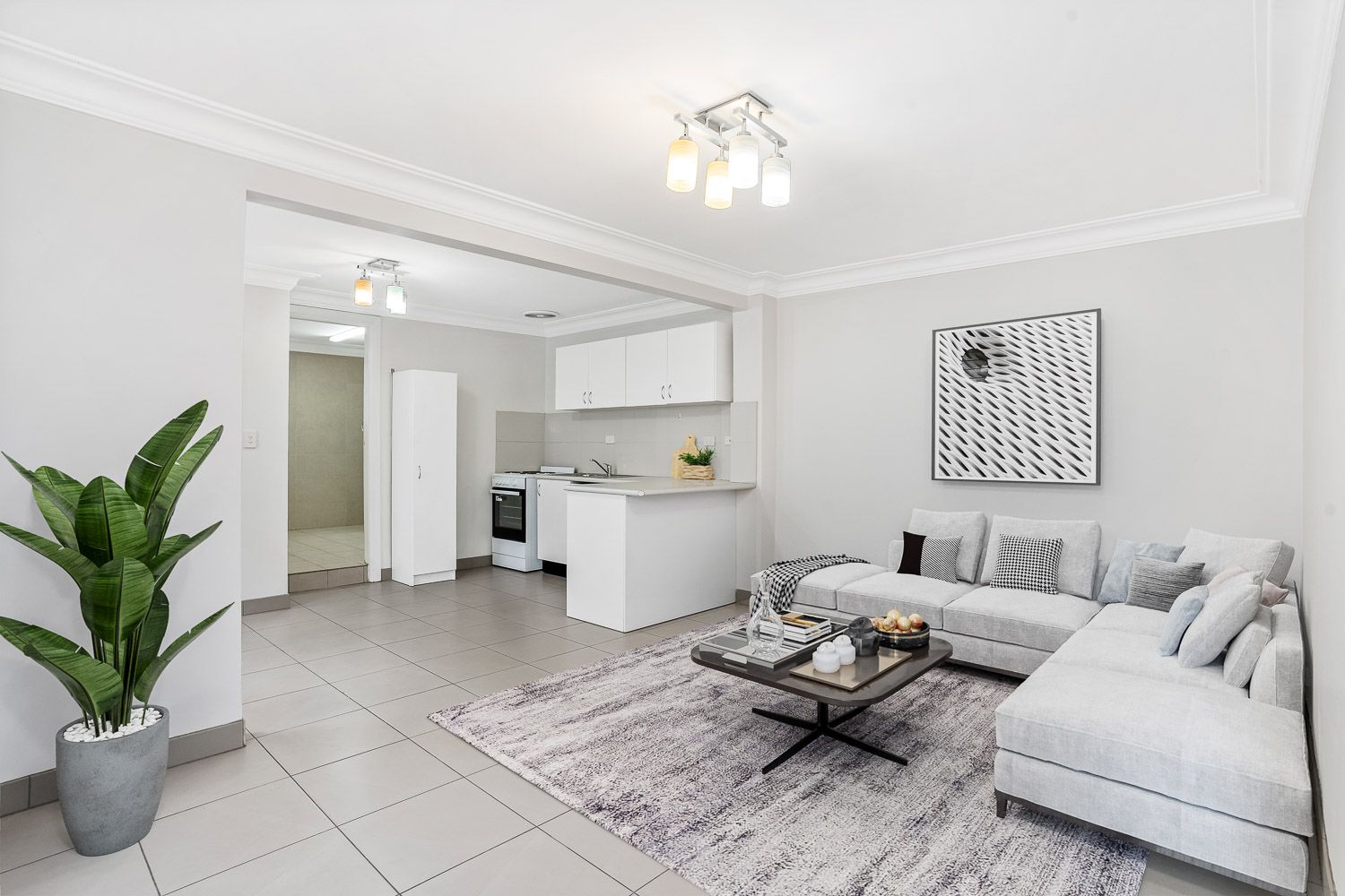 20 St Davids Road, Haberfield NSW 2045 House For Rent Domain