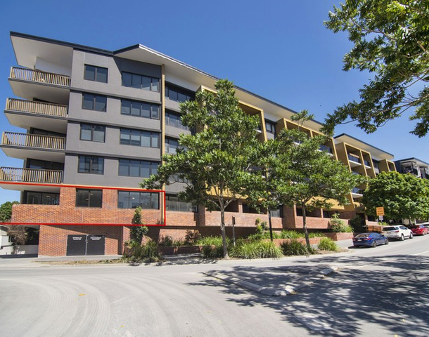 5/31 Peter Doherty Street, Dutton Park QLD 4102