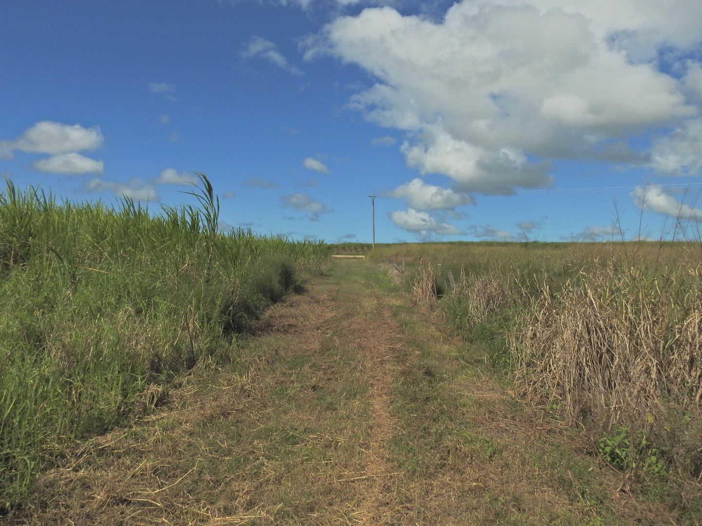 Lot 6 Marwood - Sunnyside Road, Sunnyside QLD 4737, Image 1