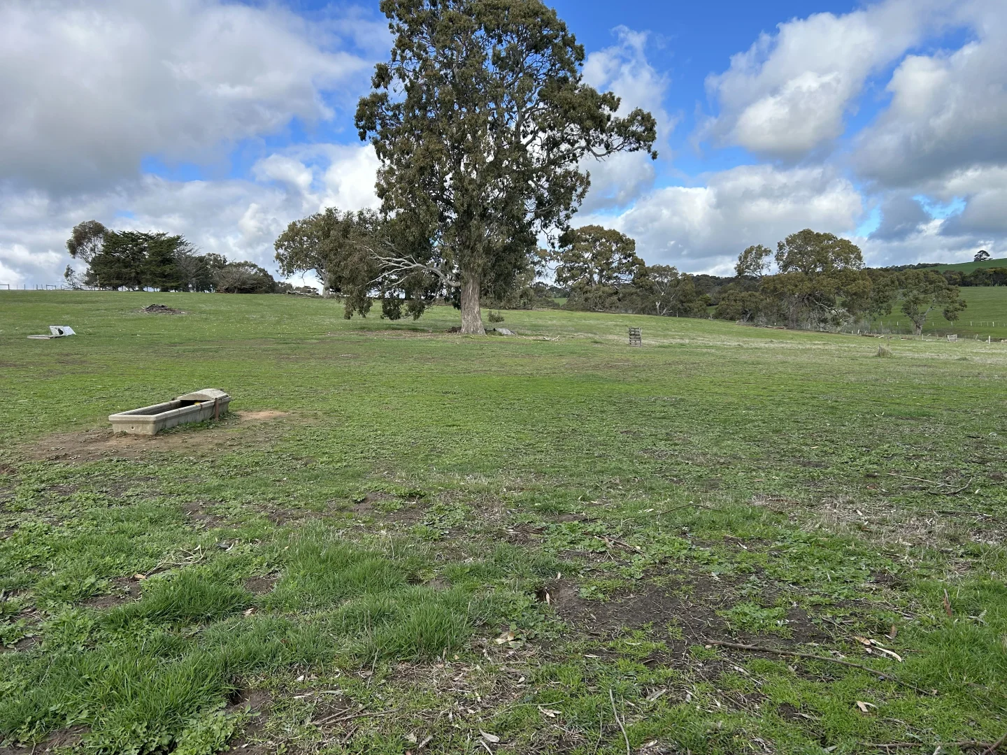 Image 16