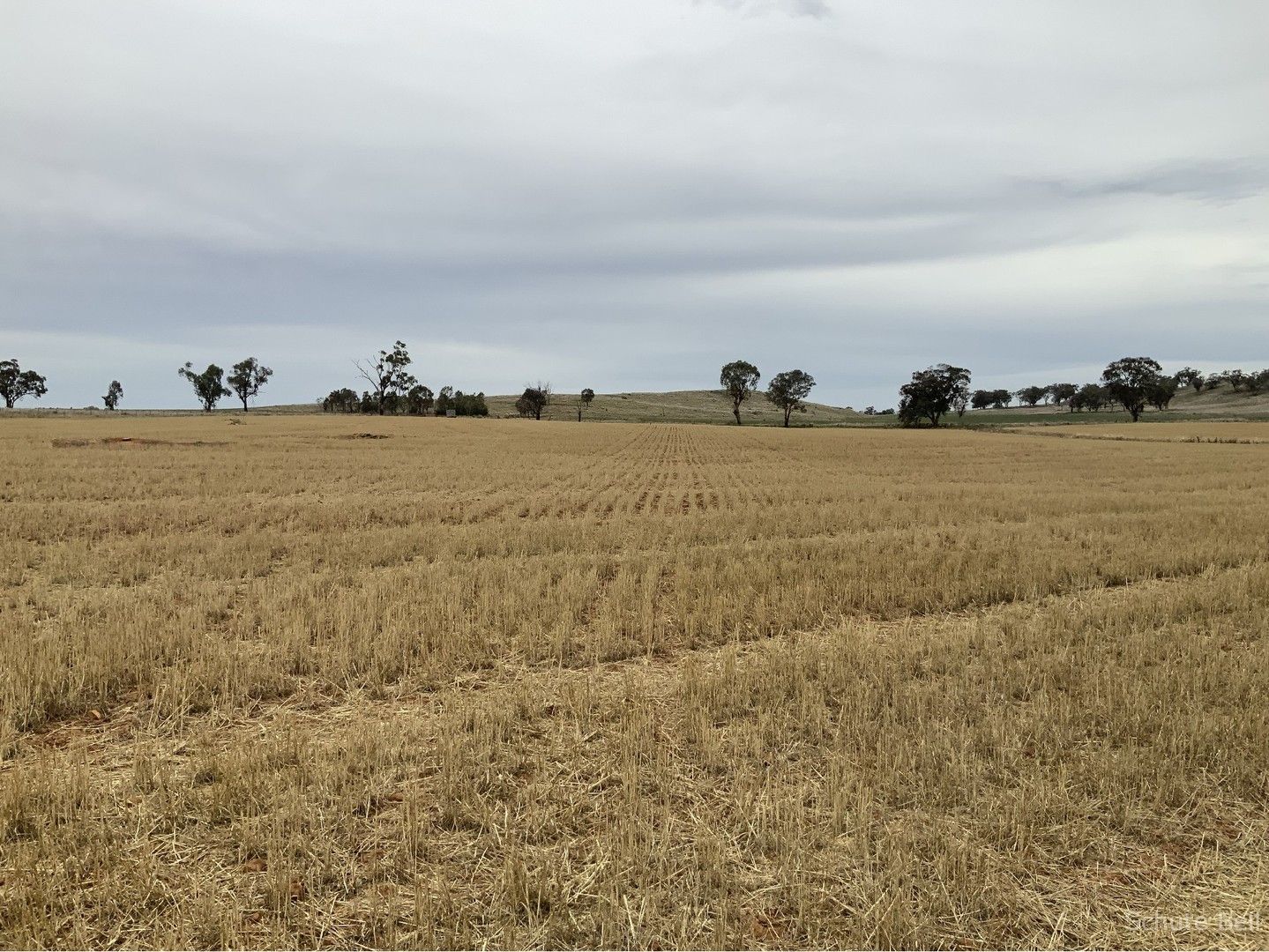 4572 Renshaw Mcgirr Way, Yeoval NSW 2868 House for Sale 3,800,000