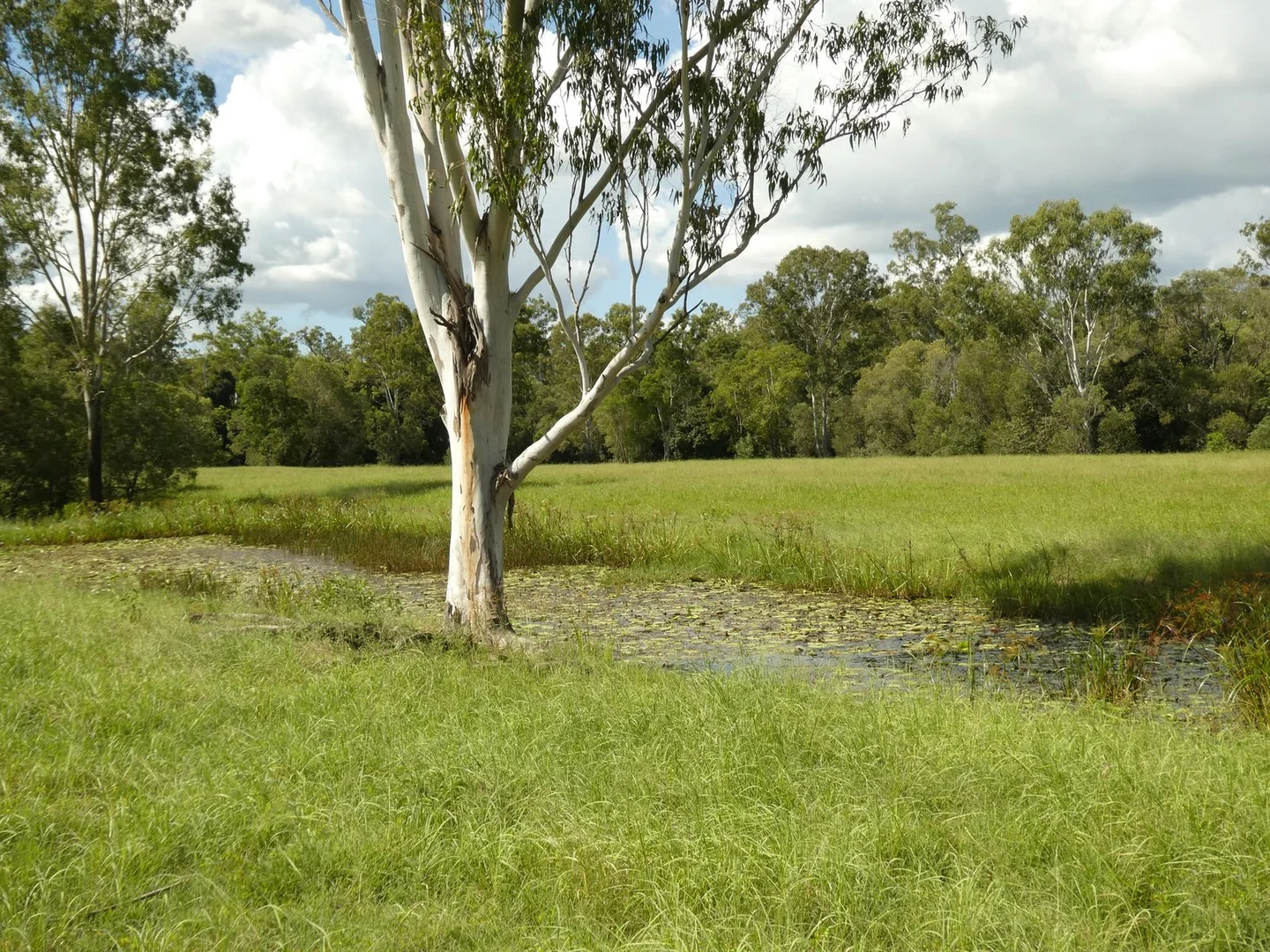 Additional image 18 of 510 Promisedland Road, Promisedland QLD 4660