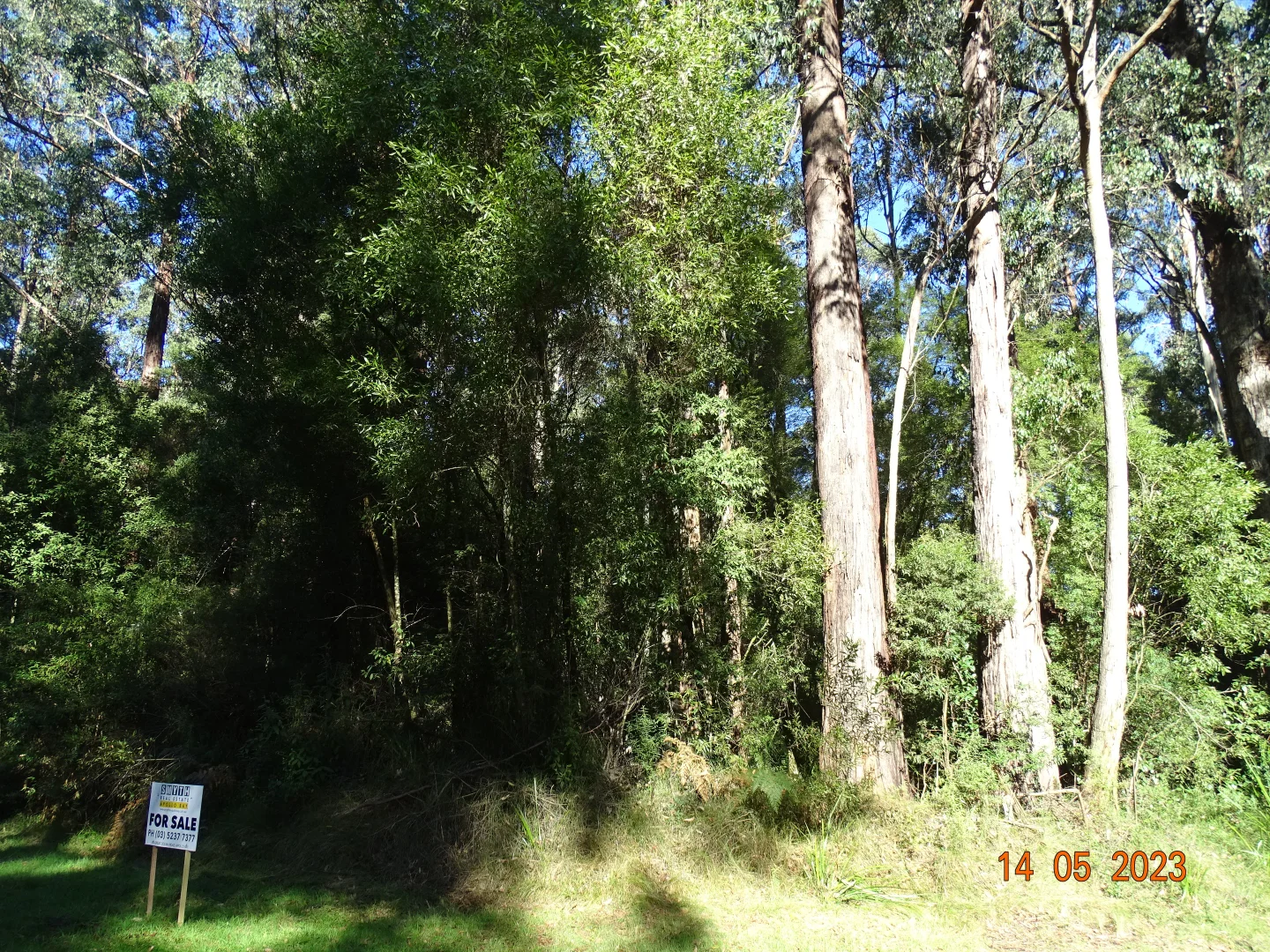 Image 16