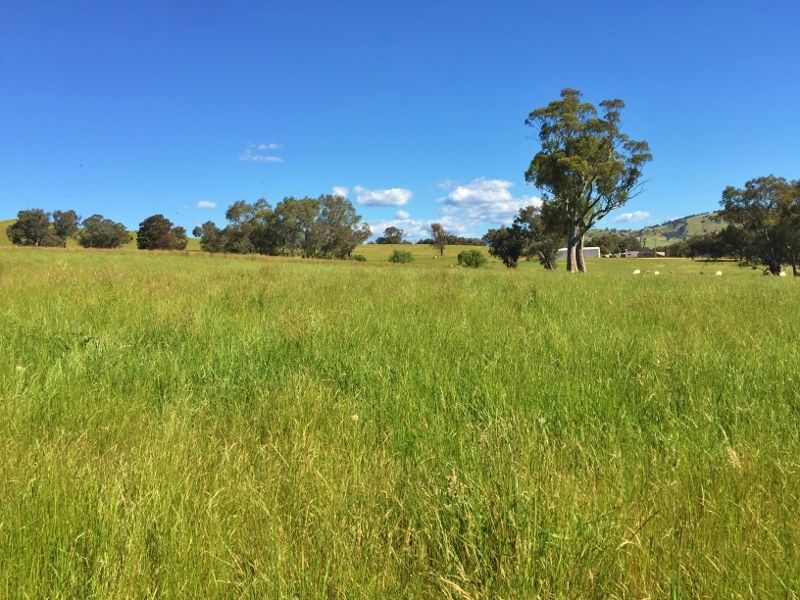 Huon  Bend - Murray Valley Highway, Huon VIC 3695, Image 2