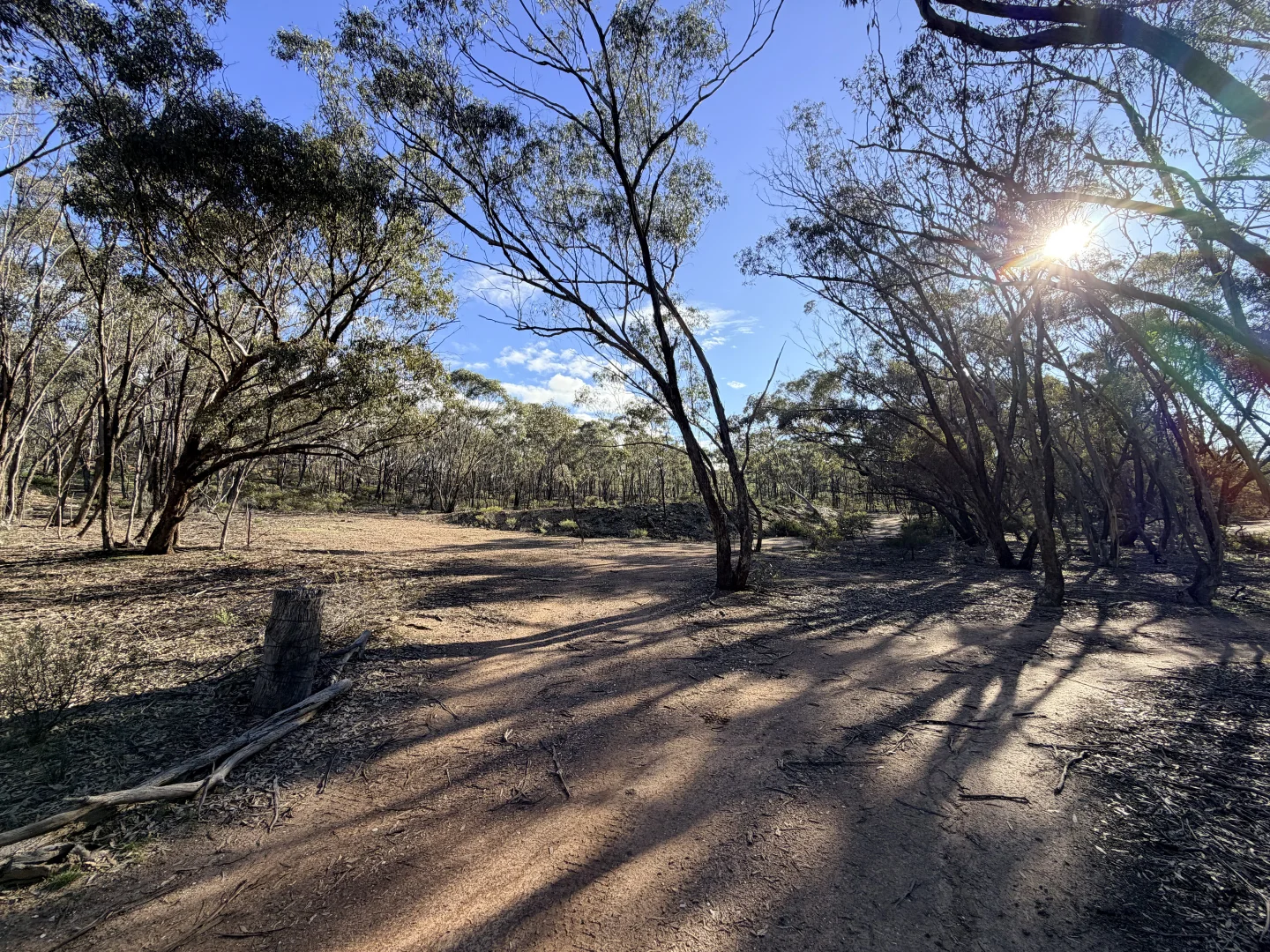Image 9