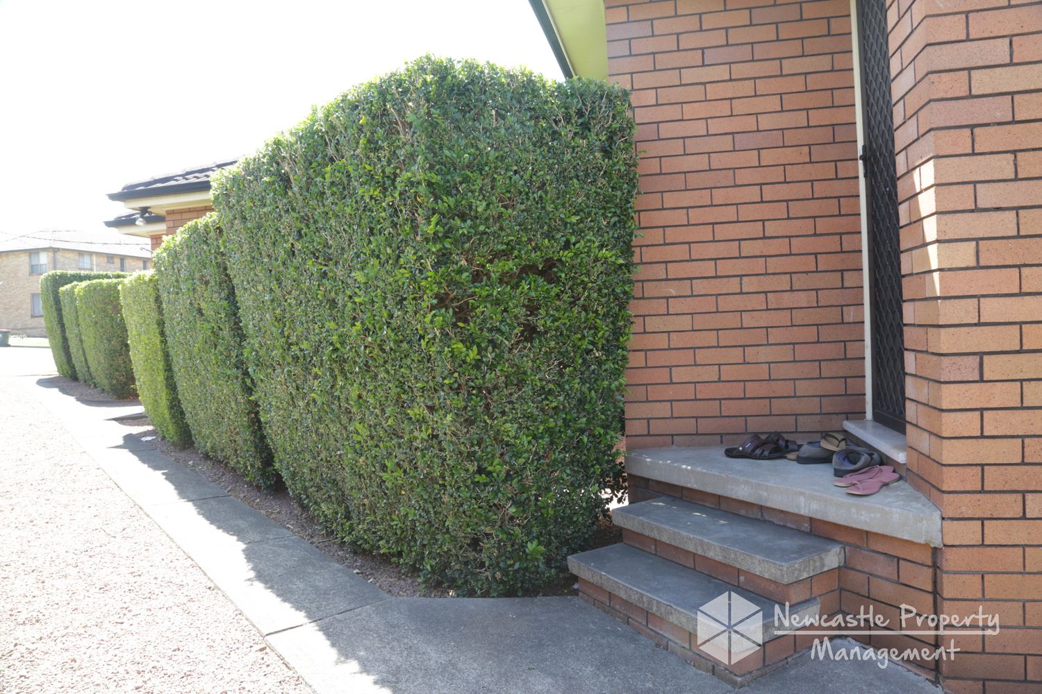 2/26 Liguori Court, Mayfield NSW 2304 Apartment For Rent Domain