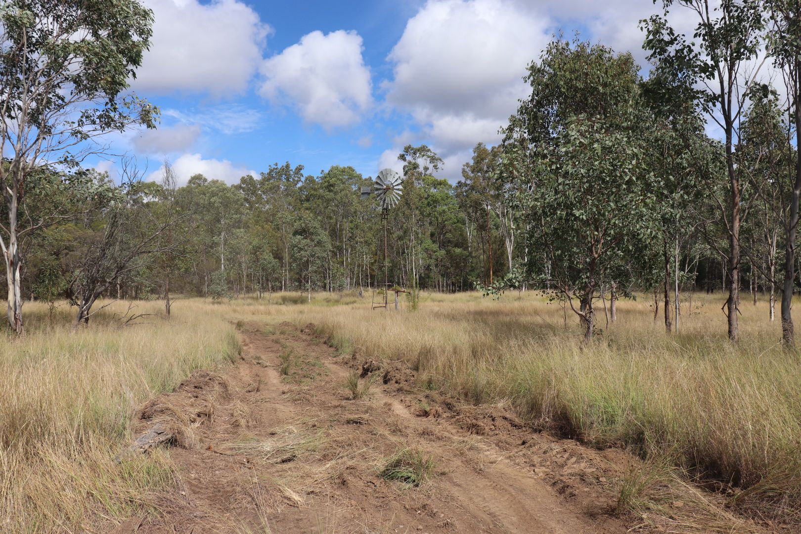 'Spotted Gum' 2845 Burra Burri Road, Jandowae QLD 4410, Image 1