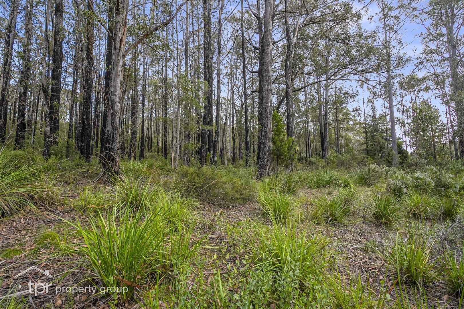 Lot 1 Glenbervie Road, Dover TAS 7117 Vacant Land for Sale 350,000