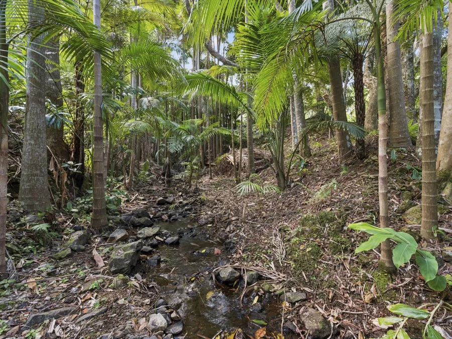 Additional image 24 of 66 Rowsells Road, Korora NSW 2450