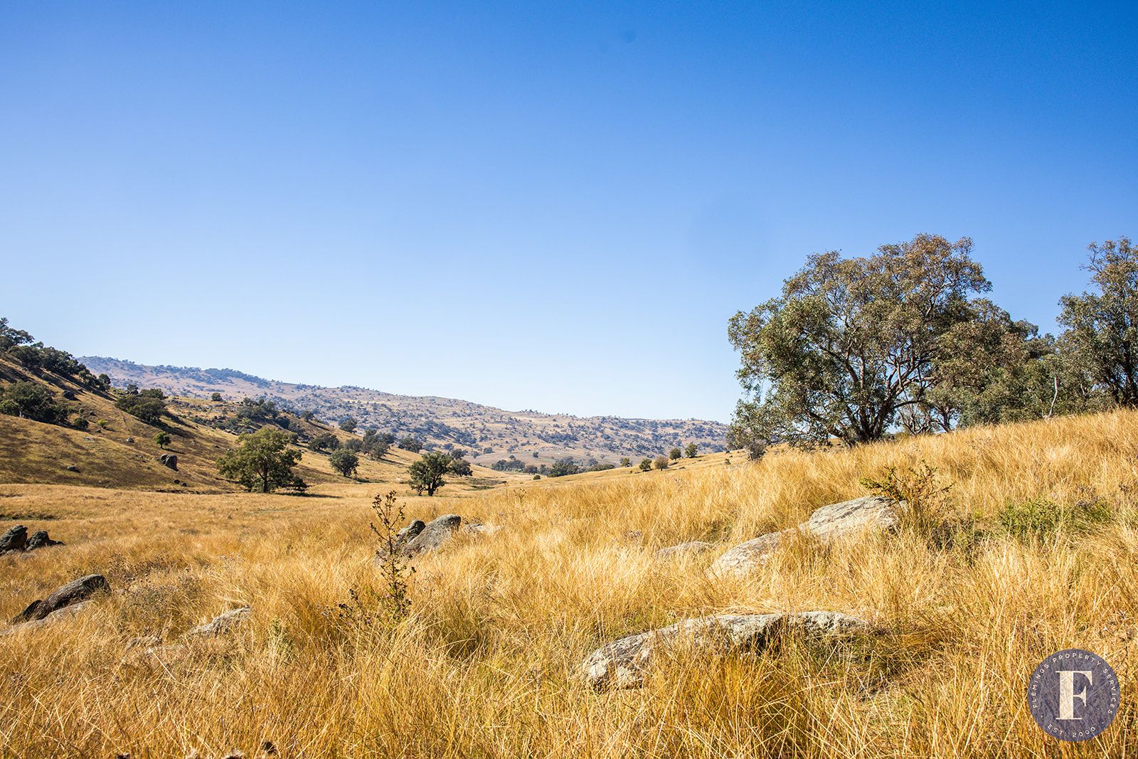 2943 Reids Flat Road, Cowra NSW 2794 House for Sale Domain