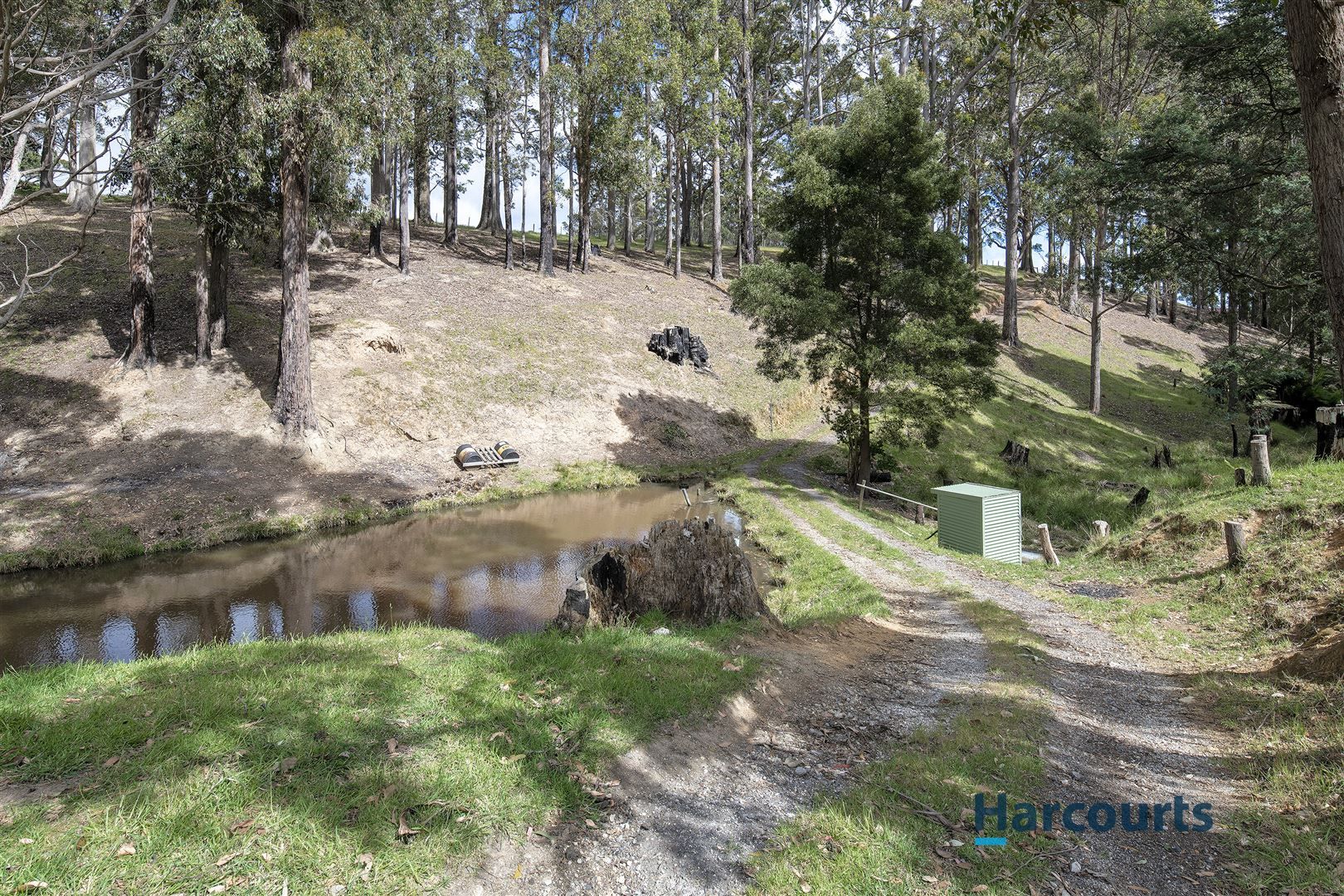 110 Clerke Plains Road, Spalford TAS 7315, Image 2