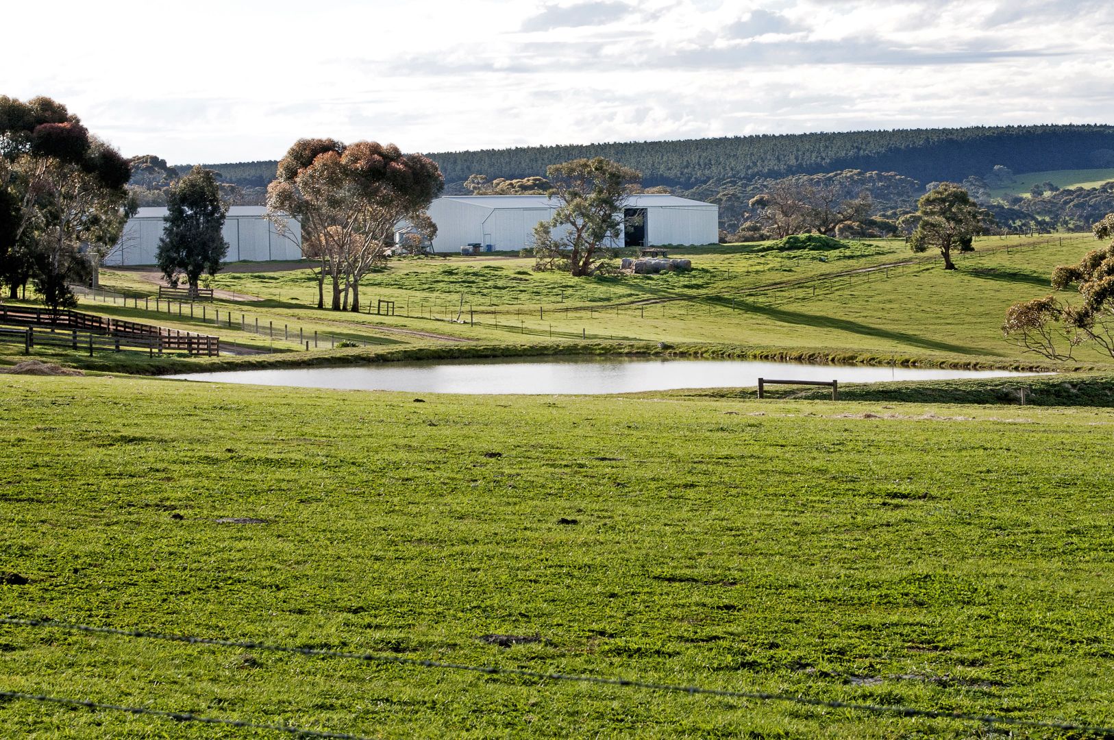 Cygnet Park Farms, Cassini SA 5223, Image 1