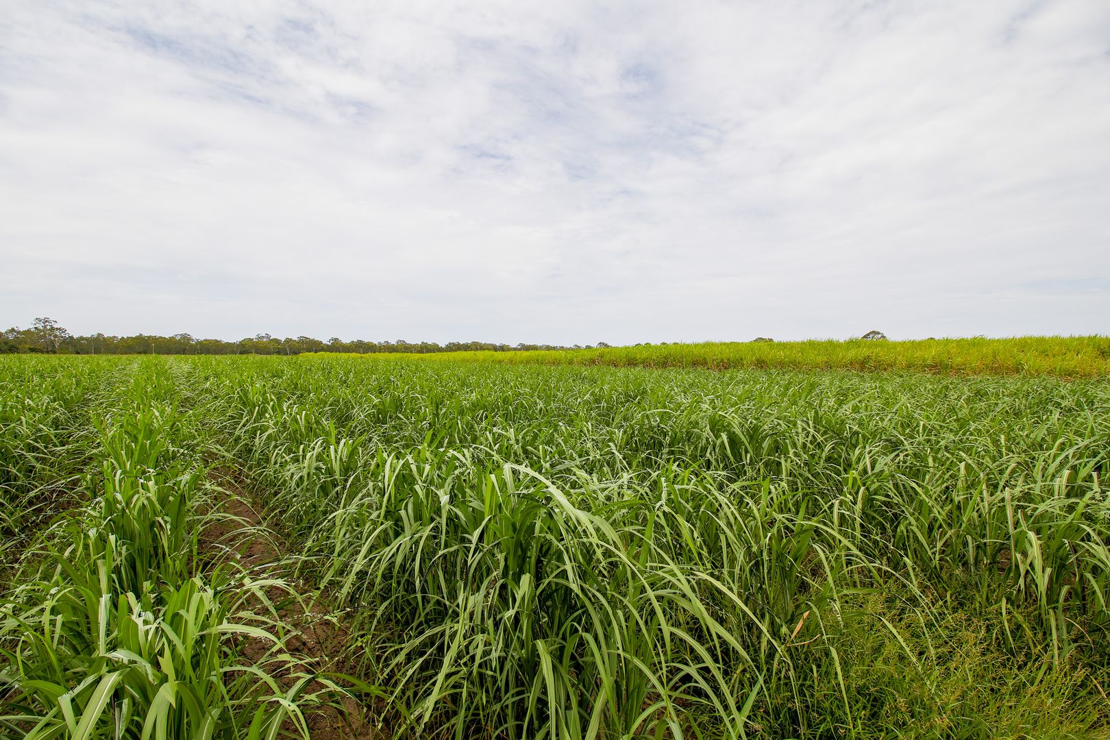 2 Moore Park Road, Moore Park Beach QLD 4670 Vacant Land for Sale