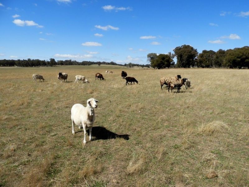 Lot 32 Boongarra Road, Laggan NSW 2583, Image 0