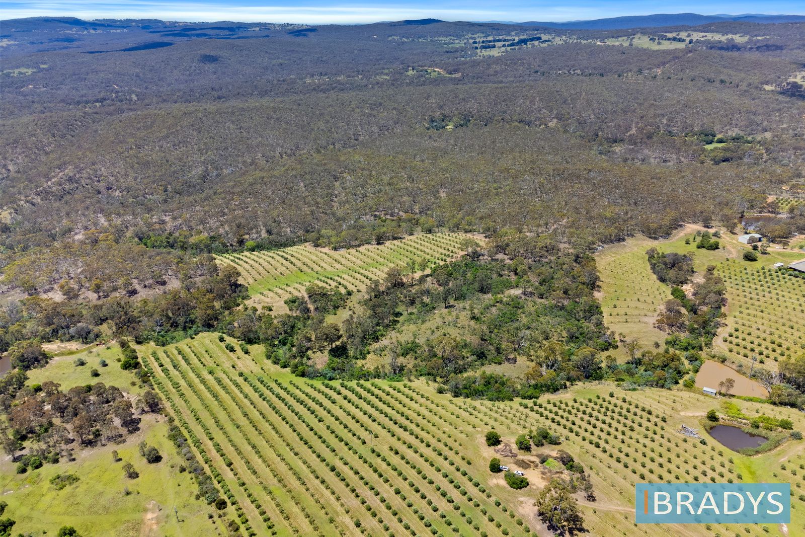 1/569 Marked Tree Road, Gundaroo NSW 2620, Image 1