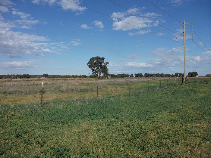 Part Farm 2082 Leeton Road, MURRAMI NSW 2705, Image 2