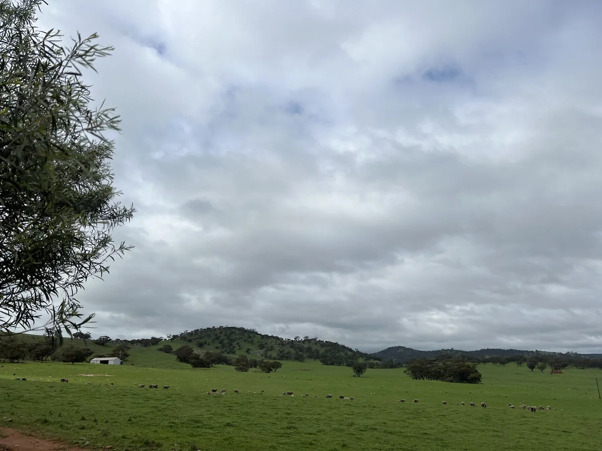 Image 15