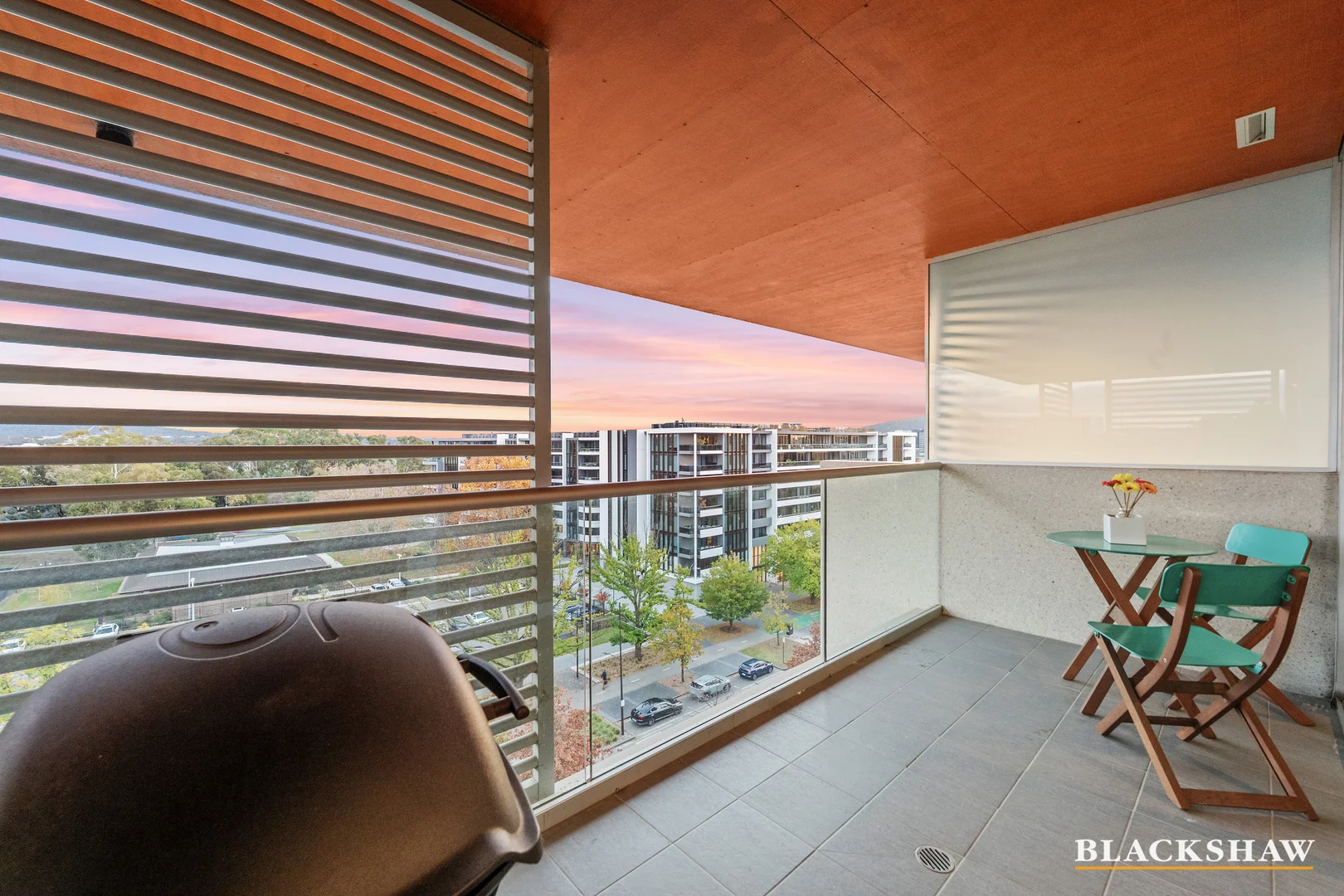 Image 16