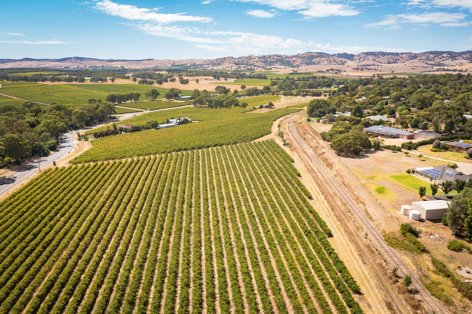 1234 Barossa Valley Way, Lyndoch SA 5351 Viticulture Property for Sale
