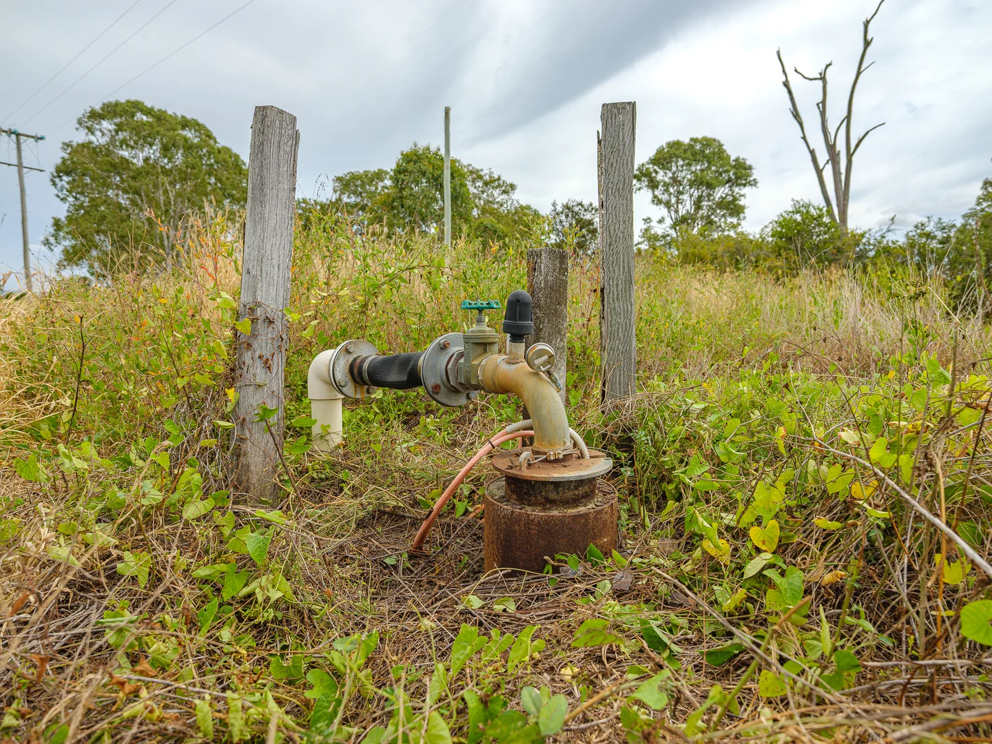 Image 11