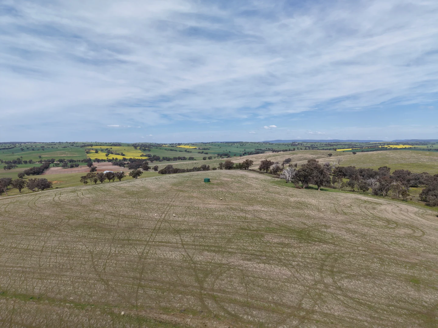 Image 29