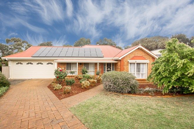 Picture of 11 Bendigo Close, TROTT PARK SA 5158