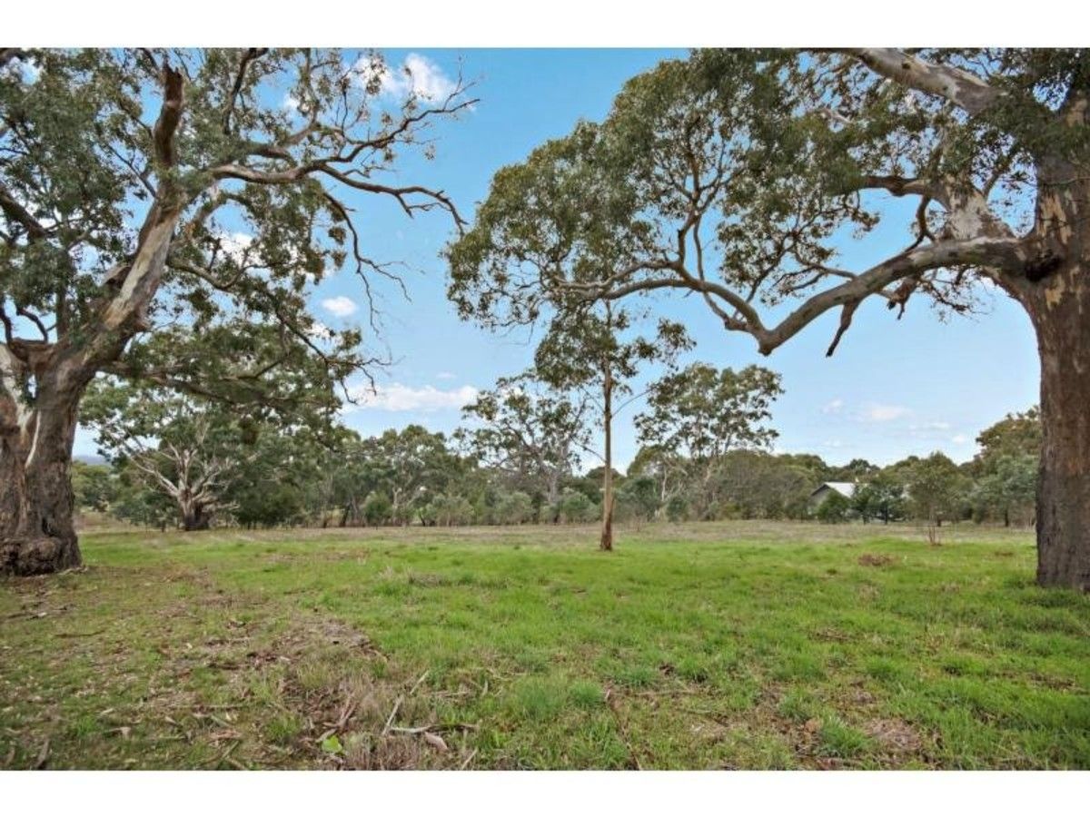 Lot 2 Wills Street/Martin Street Subdivision, Dunkeld VIC 3294, Image 0