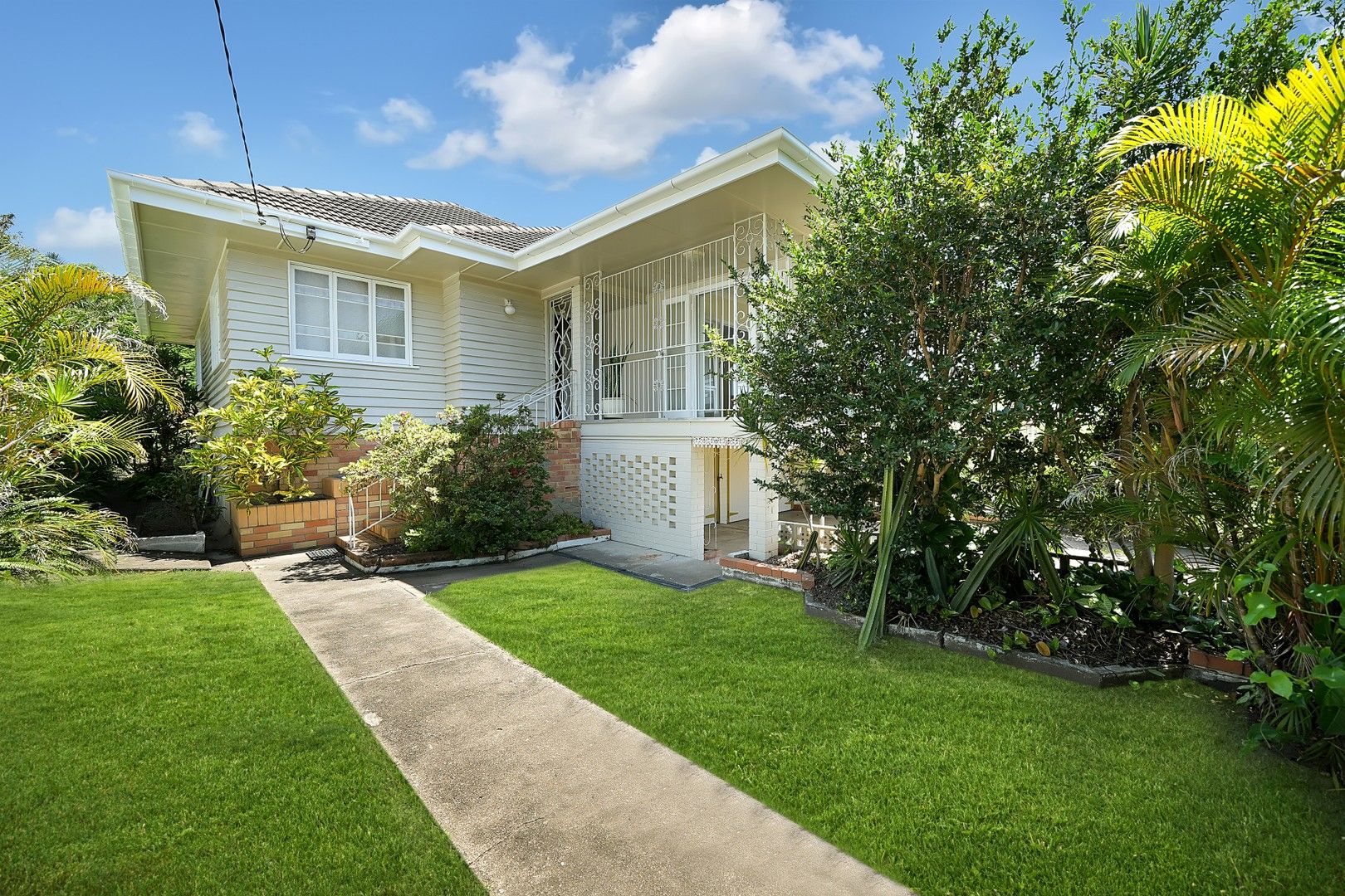12 white street everton park