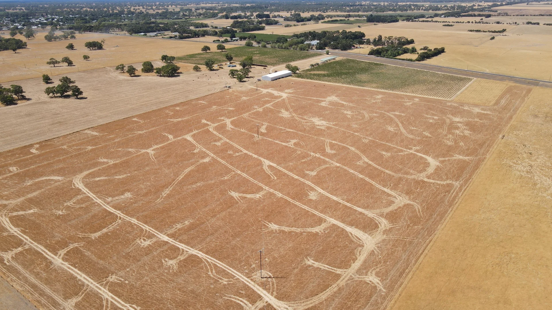 Image 10