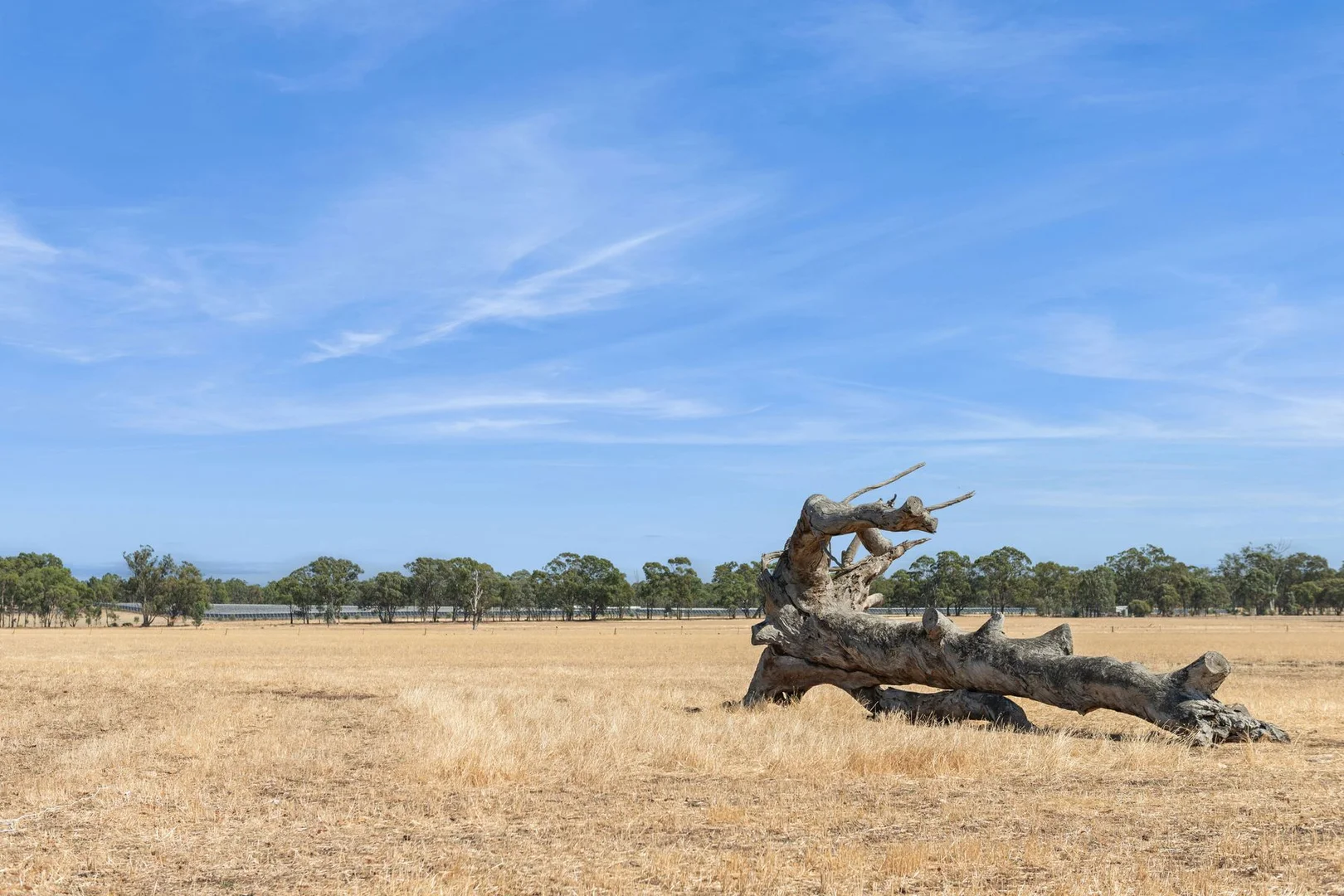 Additional image 12 of Lots 2&3 Whatleys Road, Goornong VIC 3557