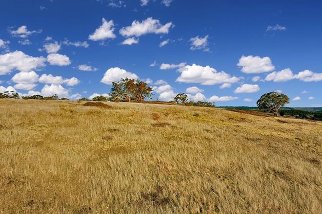 Picture of 1325 Swallows Nest Road, DOG ROCKS NSW 2795