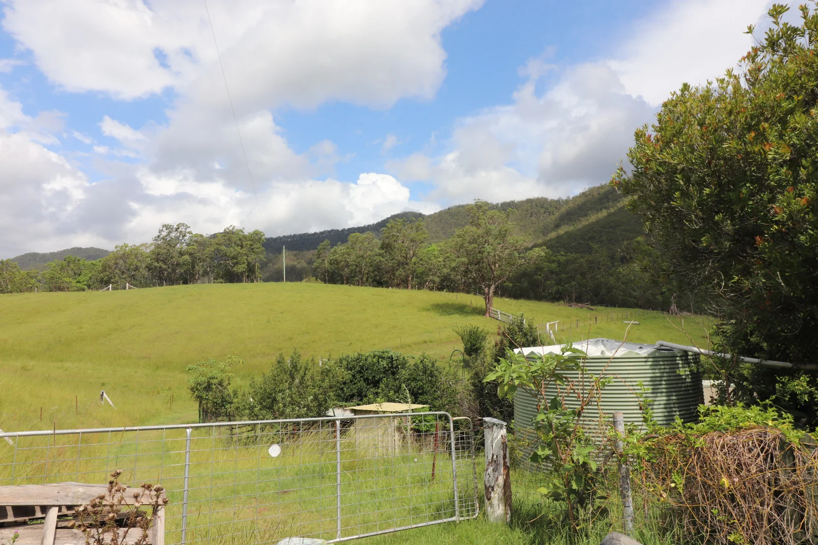 Image 12