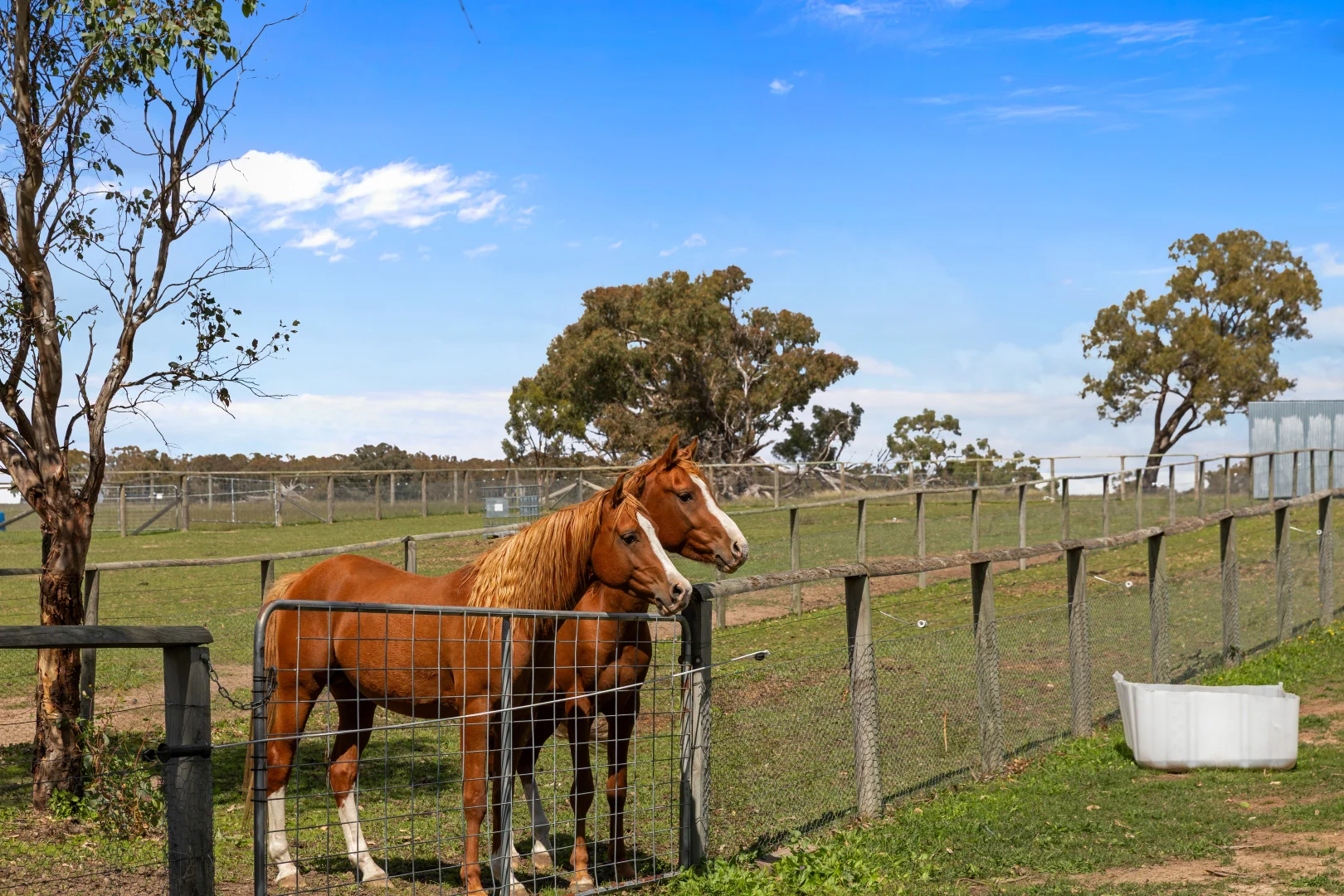 Additional image 25 of 1305 Carlwood Road, O'Connell NSW 2795
