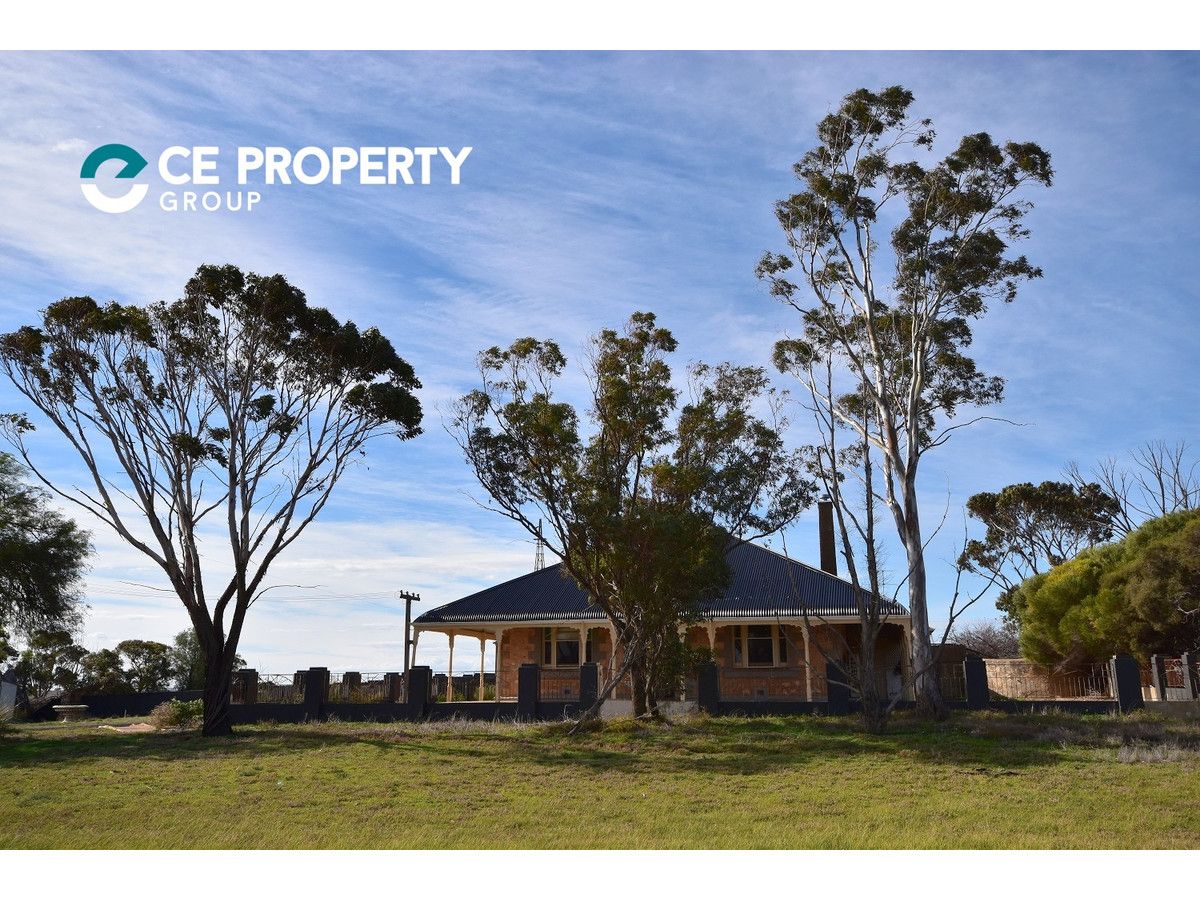 534 Reedy Creek Road, Murray Bridge SA 5253, Image 0