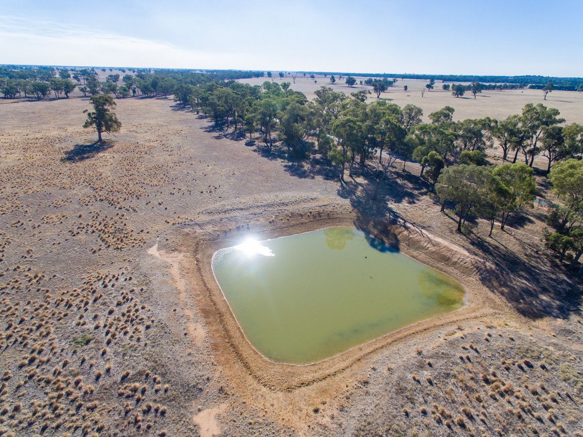 Trigg Road, Rand NSW 2642, Image 0