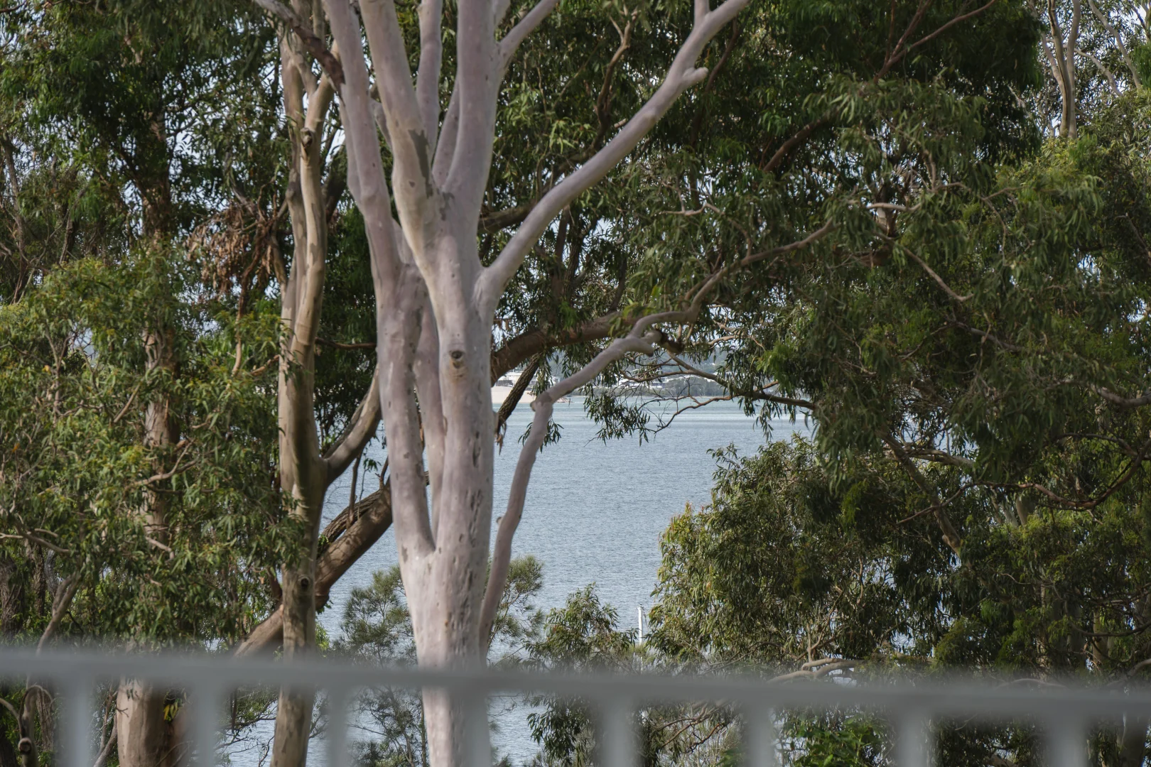 Additional image 12 of 17 Reserve Road, Wangi Wangi NSW 2267