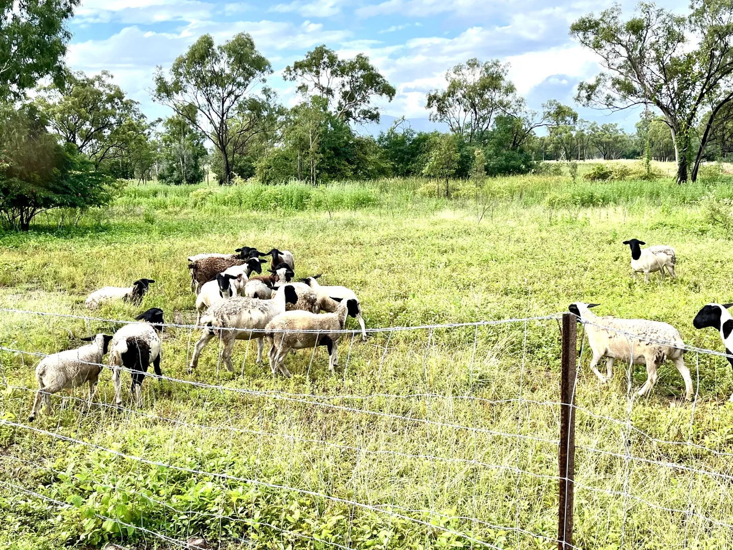 Additional image 28 of 22 Sawmill Road, Woodstock QLD 4816