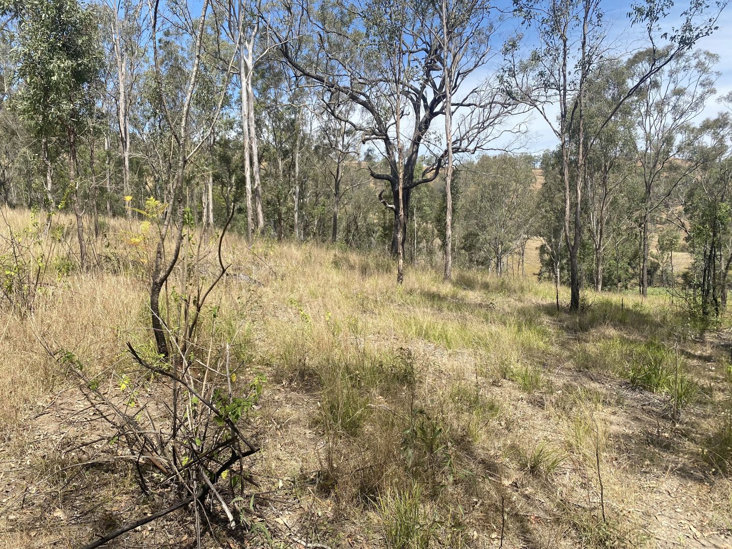 Sheep Station Creek QLD 4515, Image 1